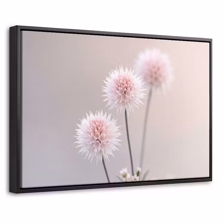Canvas met lijst - Bloemen - Bollen - Roze — 1
