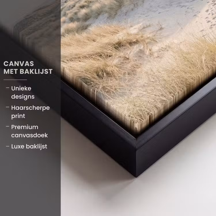 Canvas met lijst - Duinen - Strand - Beige — 5