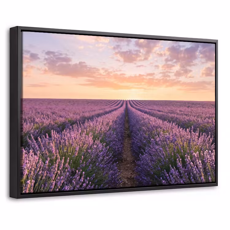 Canvas met lijst - Landschap - Lavendelveld - Paars — 1