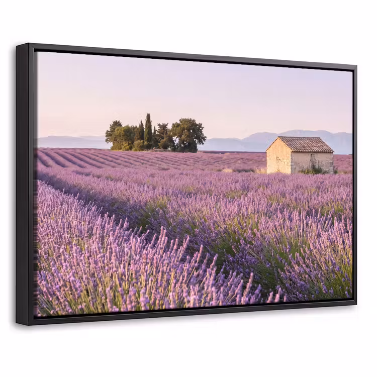 Canvas met lijst - Lavendel - Landschap - Sereen - Paars — 1