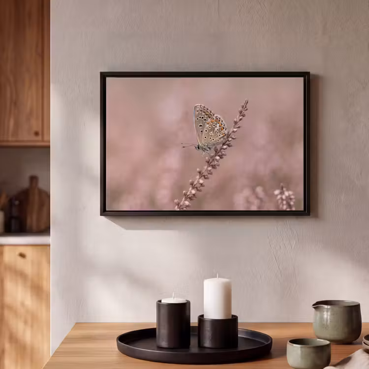 Canvas met lijst - Lavendel - Vlinder - Paars — 2