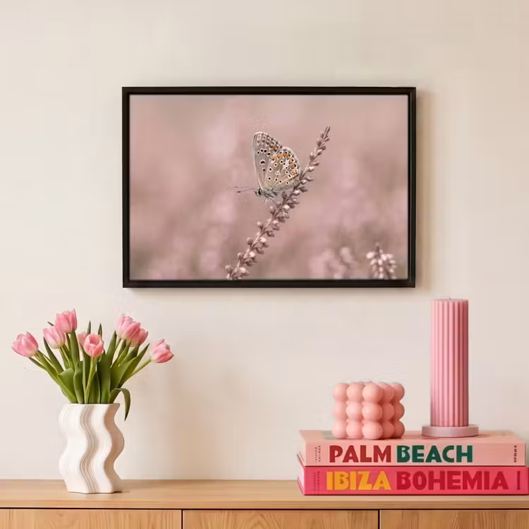 Canvas met lijst - Lavendel - Vlinder - Paars — 8