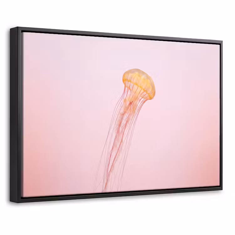 Canvas met lijst - Sierlijk - Kwal - Roze — 1