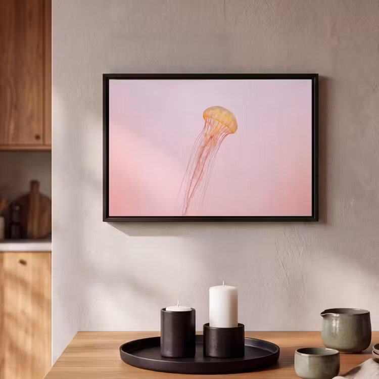 Canvas met lijst - Sierlijk - Kwal - Roze — 2