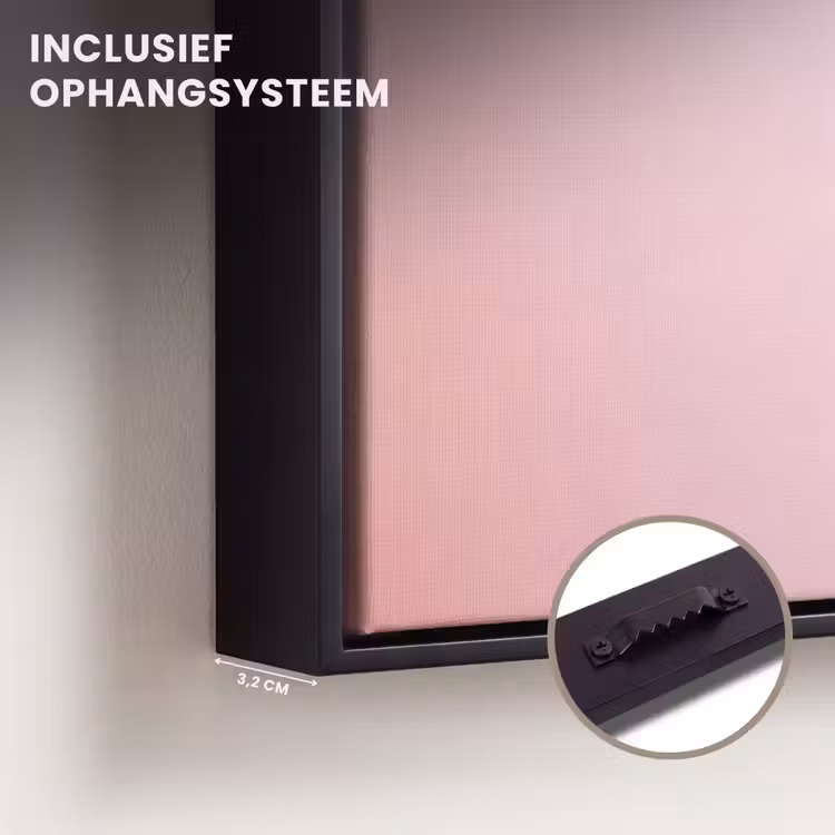 Canvas met lijst - Sierlijk - Kwal - Roze — 3