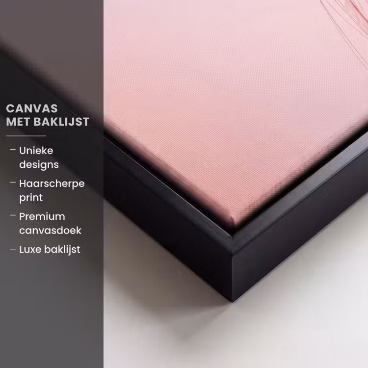 Canvas met lijst - Sierlijk - Kwal - Roze — 5