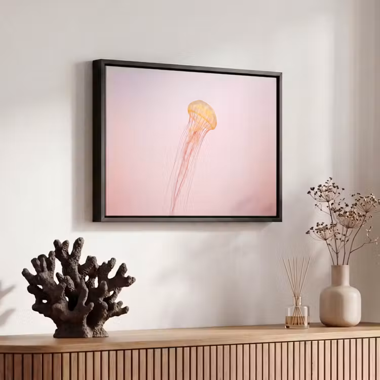 Canvas met lijst - Sierlijk - Kwal - Roze — 6