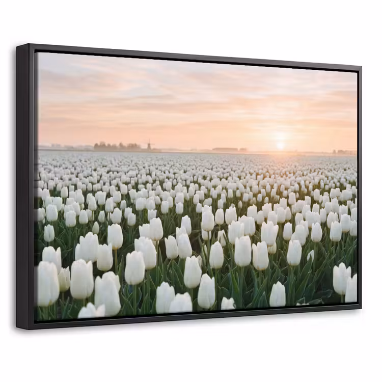 Canvas met lijst - Tulpen - Landschap - Wit — 1