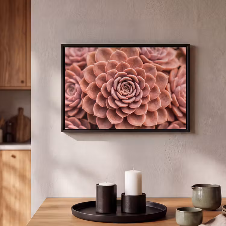 Canvas met lijst - Vetplant - Organisch - Roze — 2