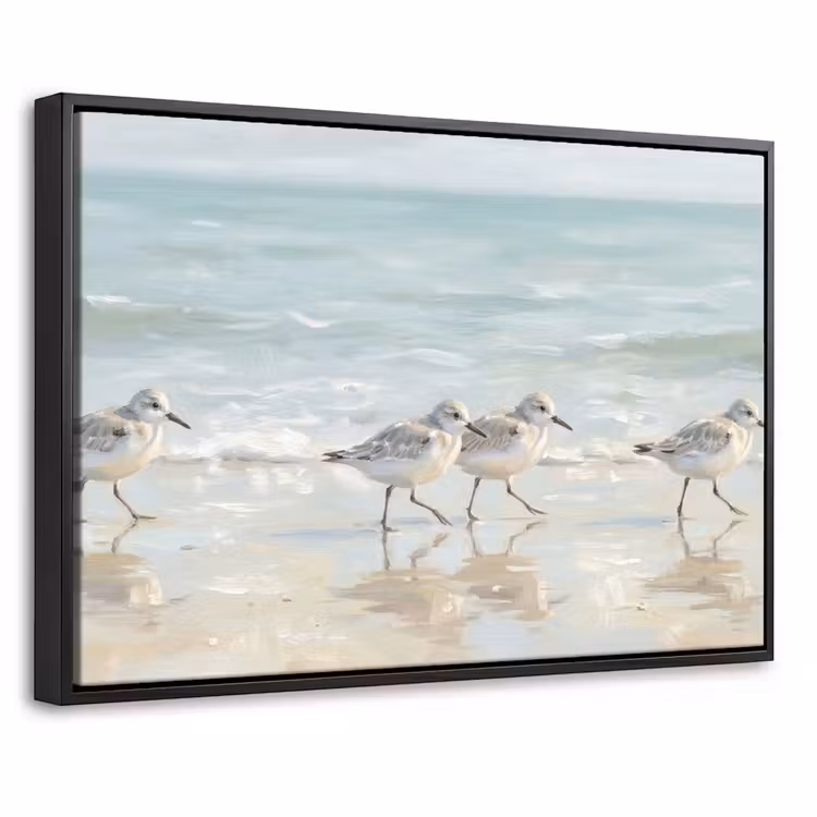 Canvas met lijst - Vogels - Strand - Zee — 1