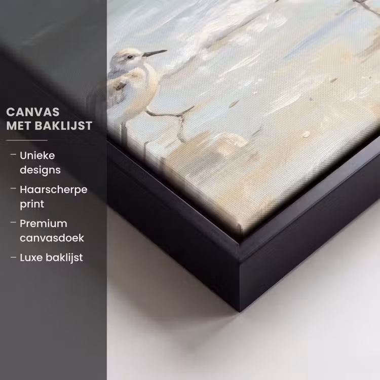 Canvas met lijst - Vogels - Strand - Zee — 5