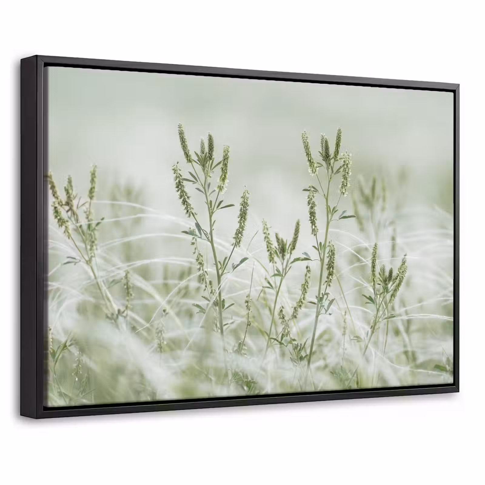 Canvas met lijst - Grassen - Minimalistisch - Groen — 1