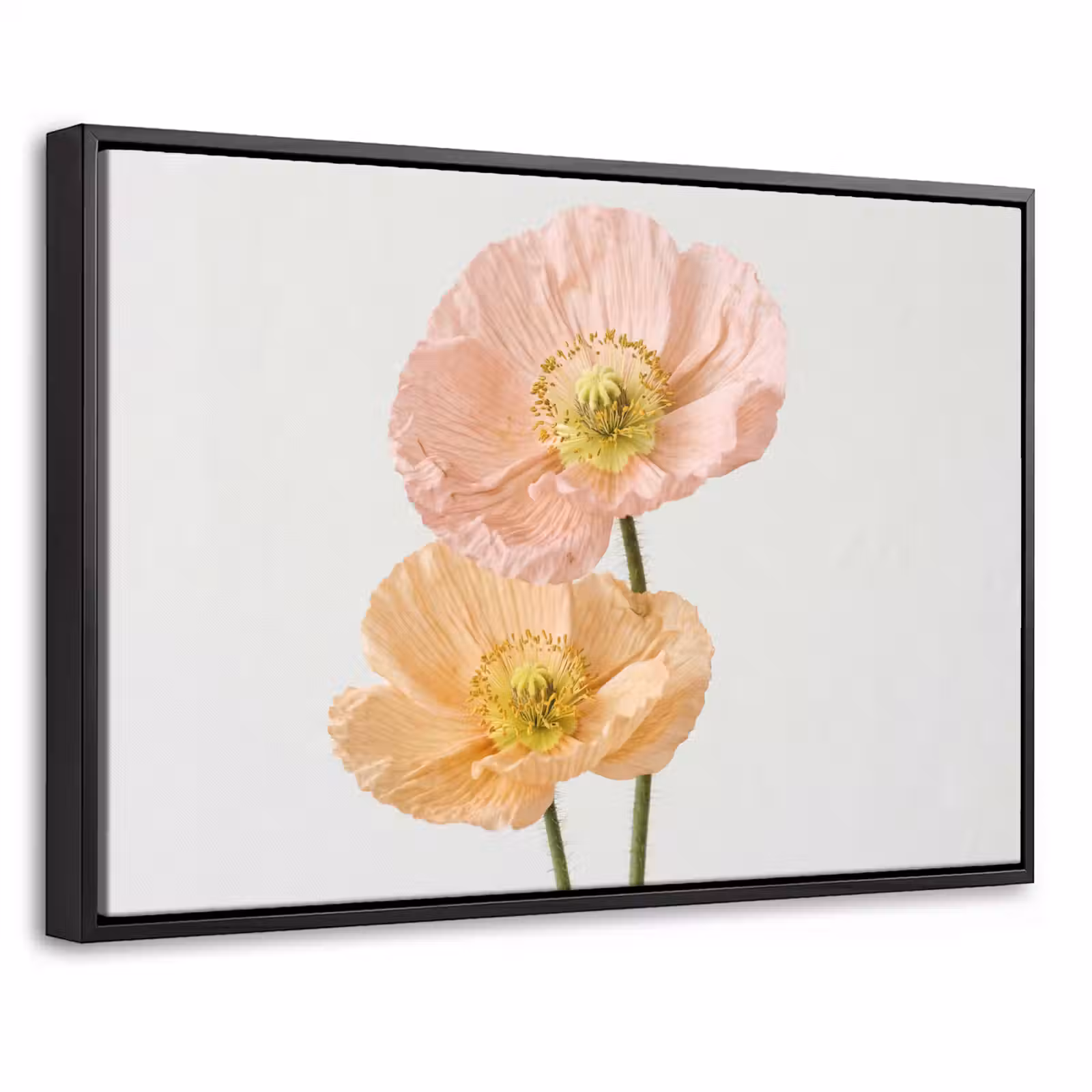 Canvas met lijst - Papavers - Botanisch - Roze — 1