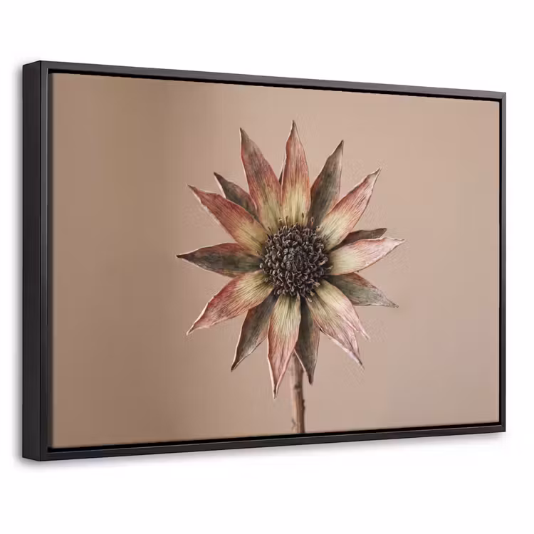 Canvas met lijst - Droogbloem - Protea - Vintage - Beige - Rustiek — 1