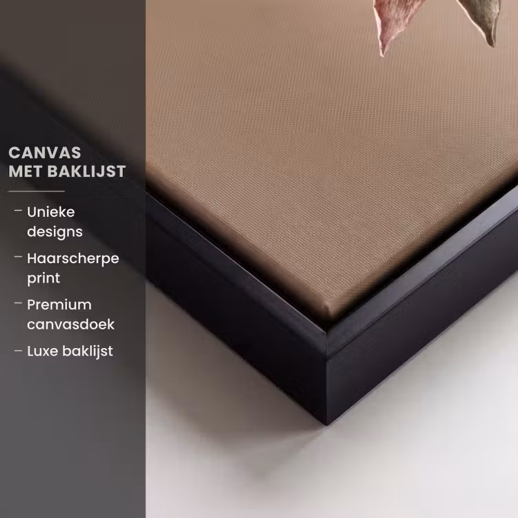 Canvas met lijst - Droogbloem - Protea - Vintage - Beige - Rustiek — 5