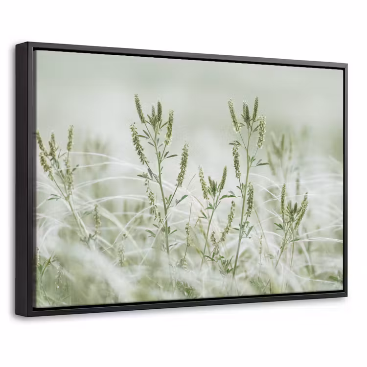 Canvas met lijst - Grassen - Minimalistisch - Groen — 1