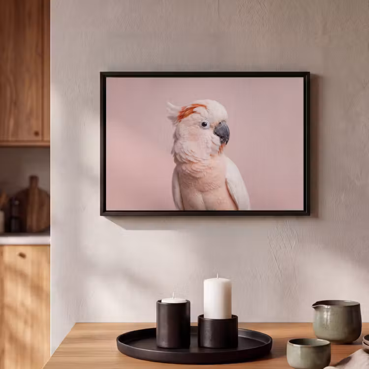 Canvas met lijst - Kaketoe - Portret - Roze — 2