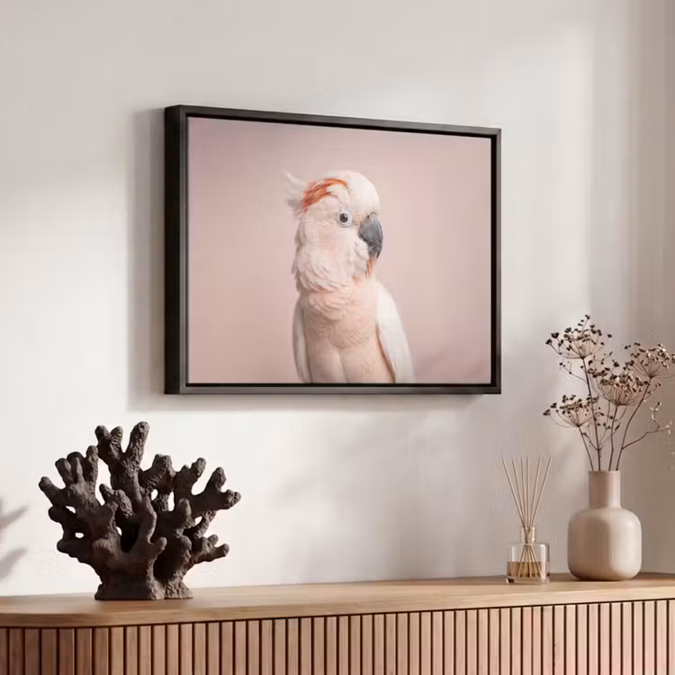 Canvas met lijst - Kaketoe - Portret - Roze — 6
