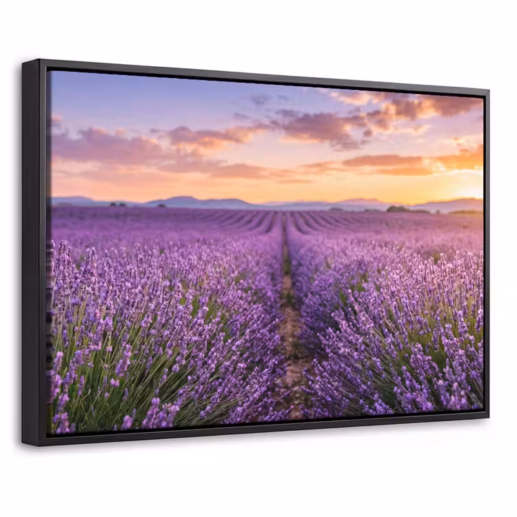 Canvas met lijst - Lavendel - Veld - Natuur - Paars — 1