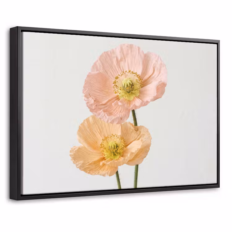 Canvas met lijst - Papavers - Botanisch - Roze — 1