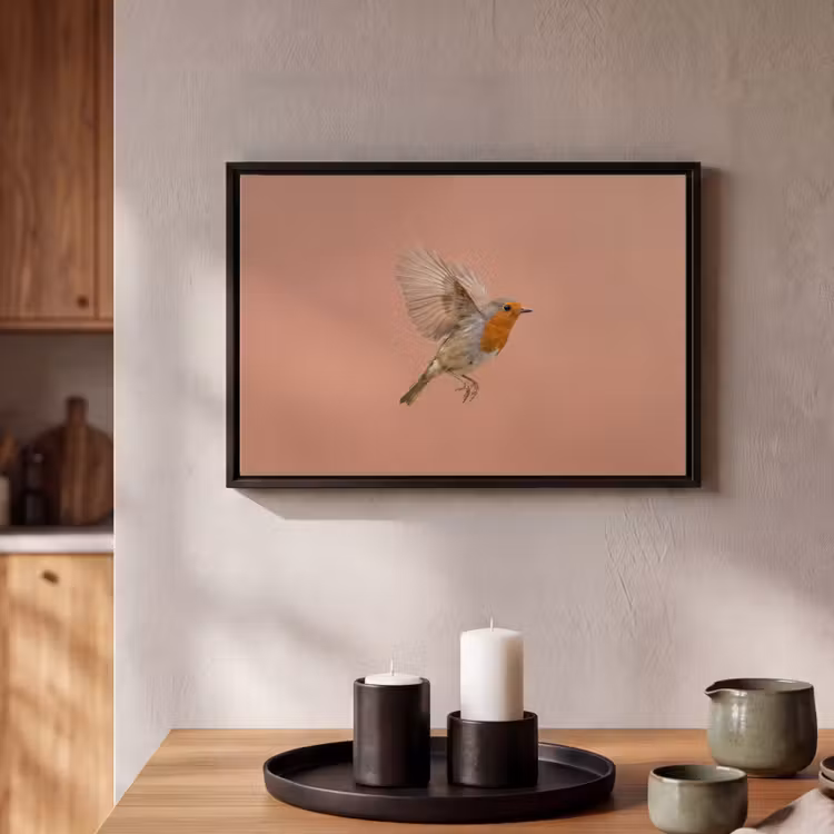 Canvas met lijst - Roodborst - Natuur - Roze — 2