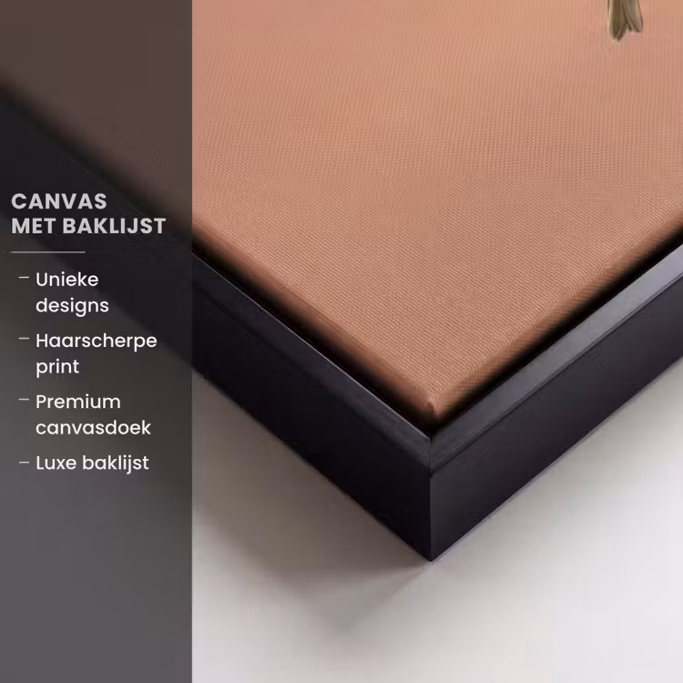 Canvas met lijst - Roodborst - Natuur - Roze — 5