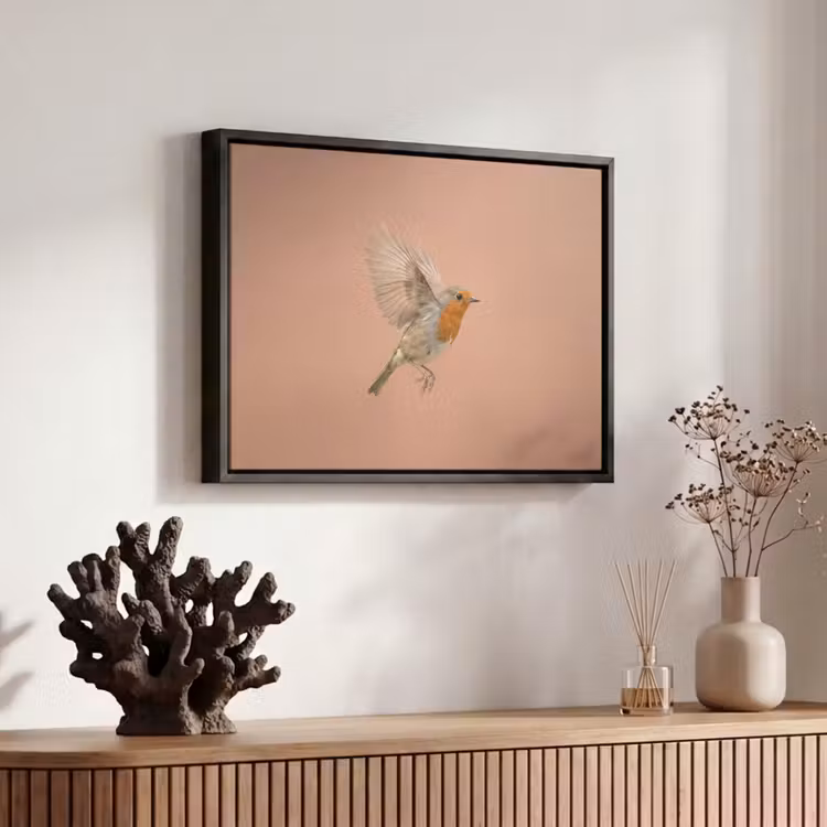 Canvas met lijst - Roodborst - Natuur - Roze — 6