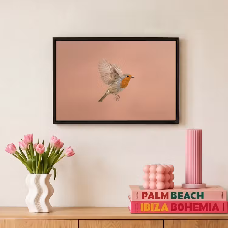 Canvas met lijst - Roodborst - Natuur - Roze — 8
