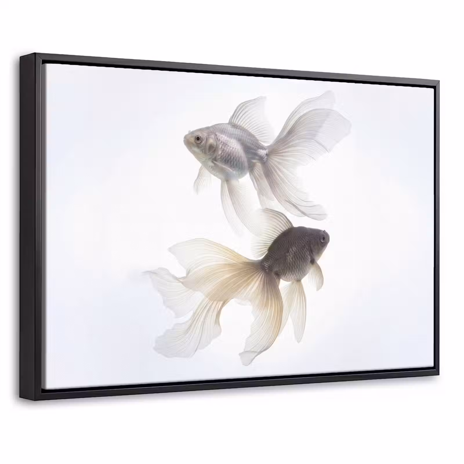 Canvas met lijst - Goudvissen - Modern - Wit — 1