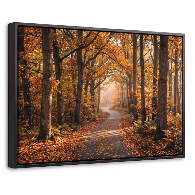 Canvas met lijst - Bospad - Herfstbos - Bladeren - Oranje - Nostalgisch — 1