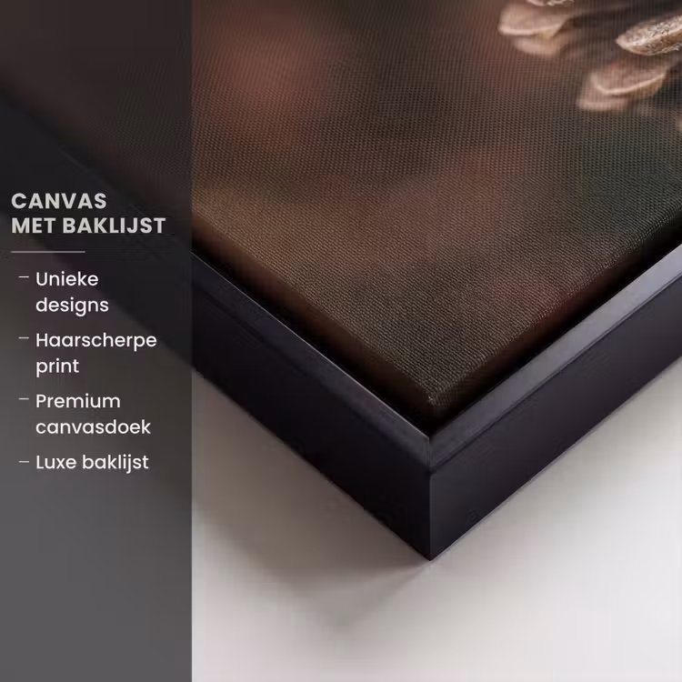 Canvas met lijst - Dennenappel - Bos - Herfst - Bruin - Sfeervol — 5
