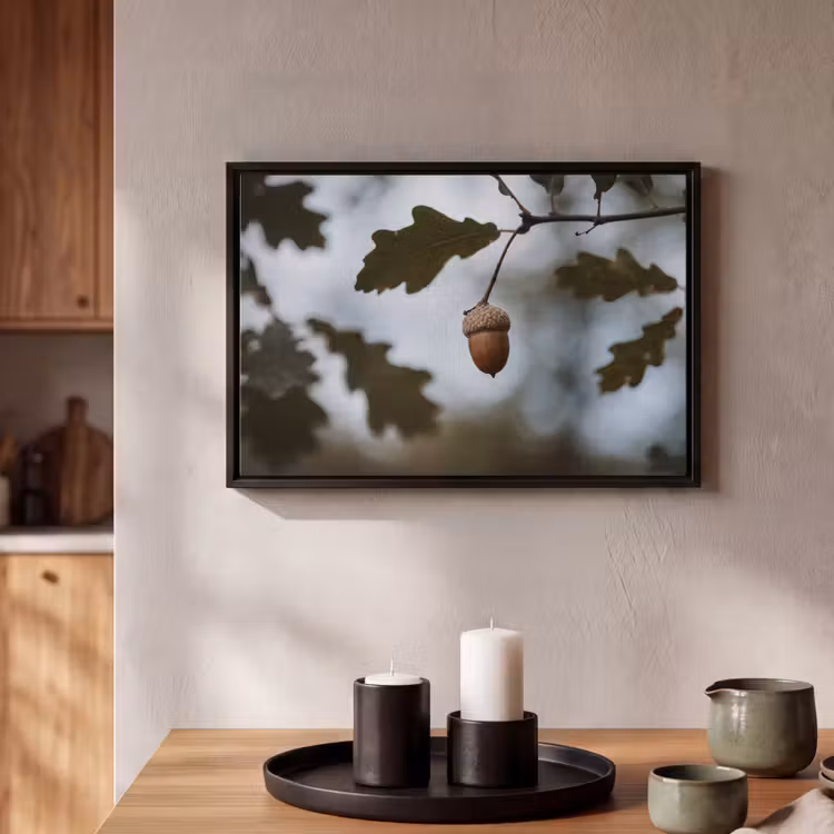 Canvas met lijst - Eikel - Eikenblad - Bos - Herfst - Natuur — 2