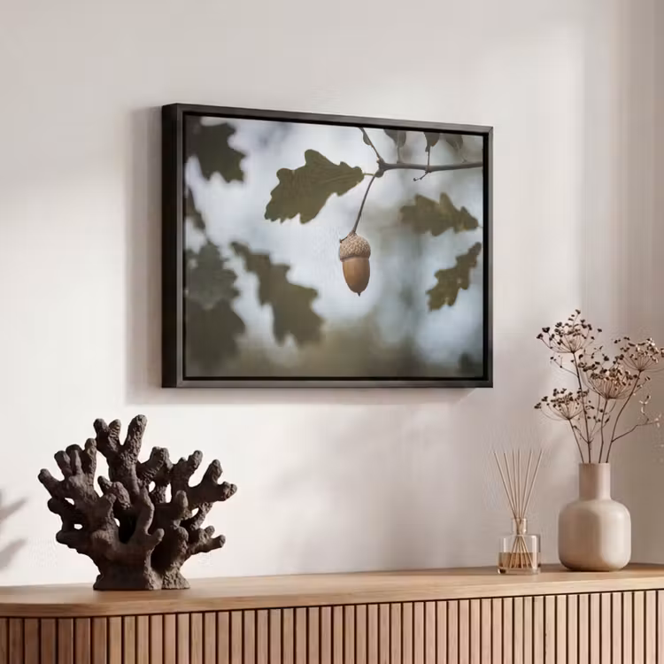 Canvas met lijst - Eikel - Eikenblad - Bos - Herfst - Natuur — 6
