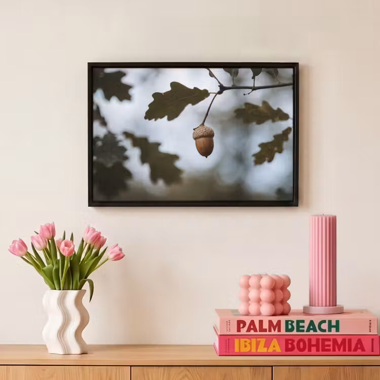 Canvas met lijst - Eikel - Eikenblad - Bos - Herfst - Natuur — 8