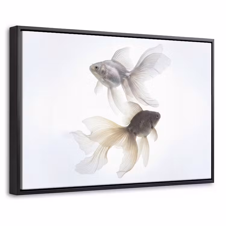 Canvas met lijst - Goudvissen - Modern - Wit — 1
