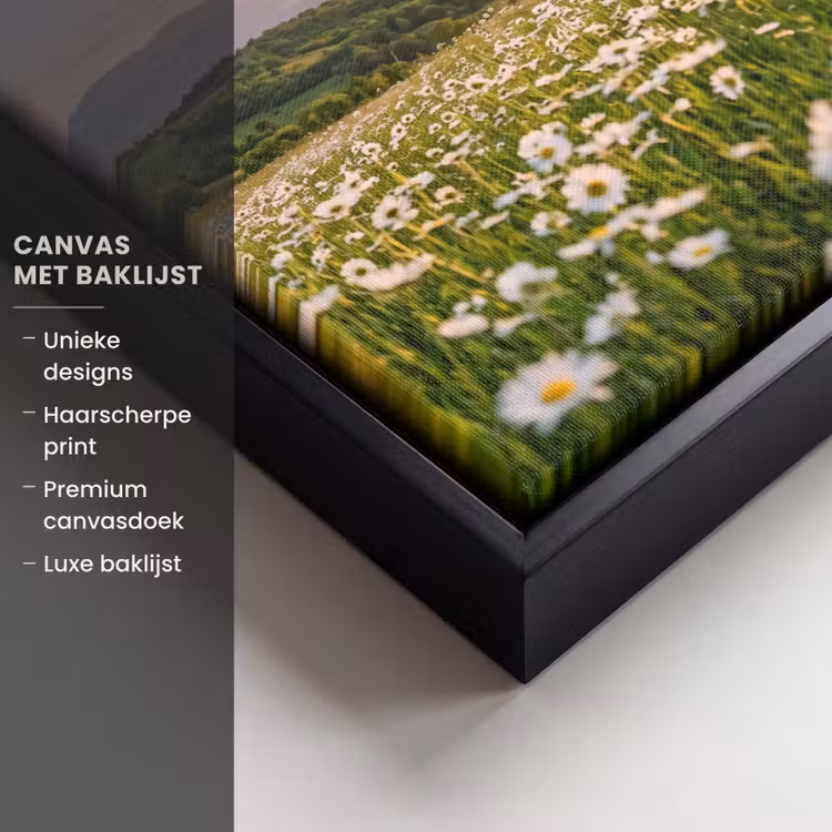 Canvas met lijst - Madelief - Veld - Heuvels - Groen — 5