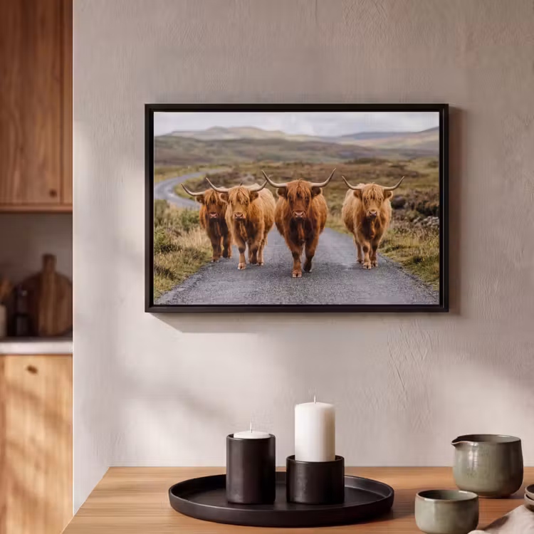 Canvas met lijst - Schotse Hooglanders - Weg - Landschap - Kudde — 2