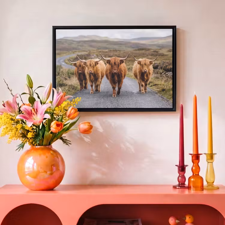 Canvas met lijst - Schotse Hooglanders - Weg - Landschap - Kudde — 4