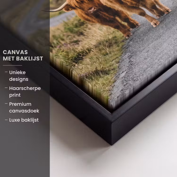 Canvas met lijst - Schotse Hooglanders - Weg - Landschap - Kudde — 5