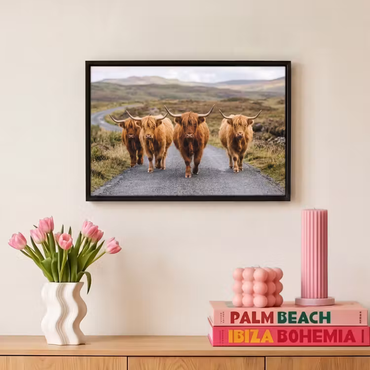 Canvas met lijst - Schotse Hooglanders - Weg - Landschap - Kudde — 8