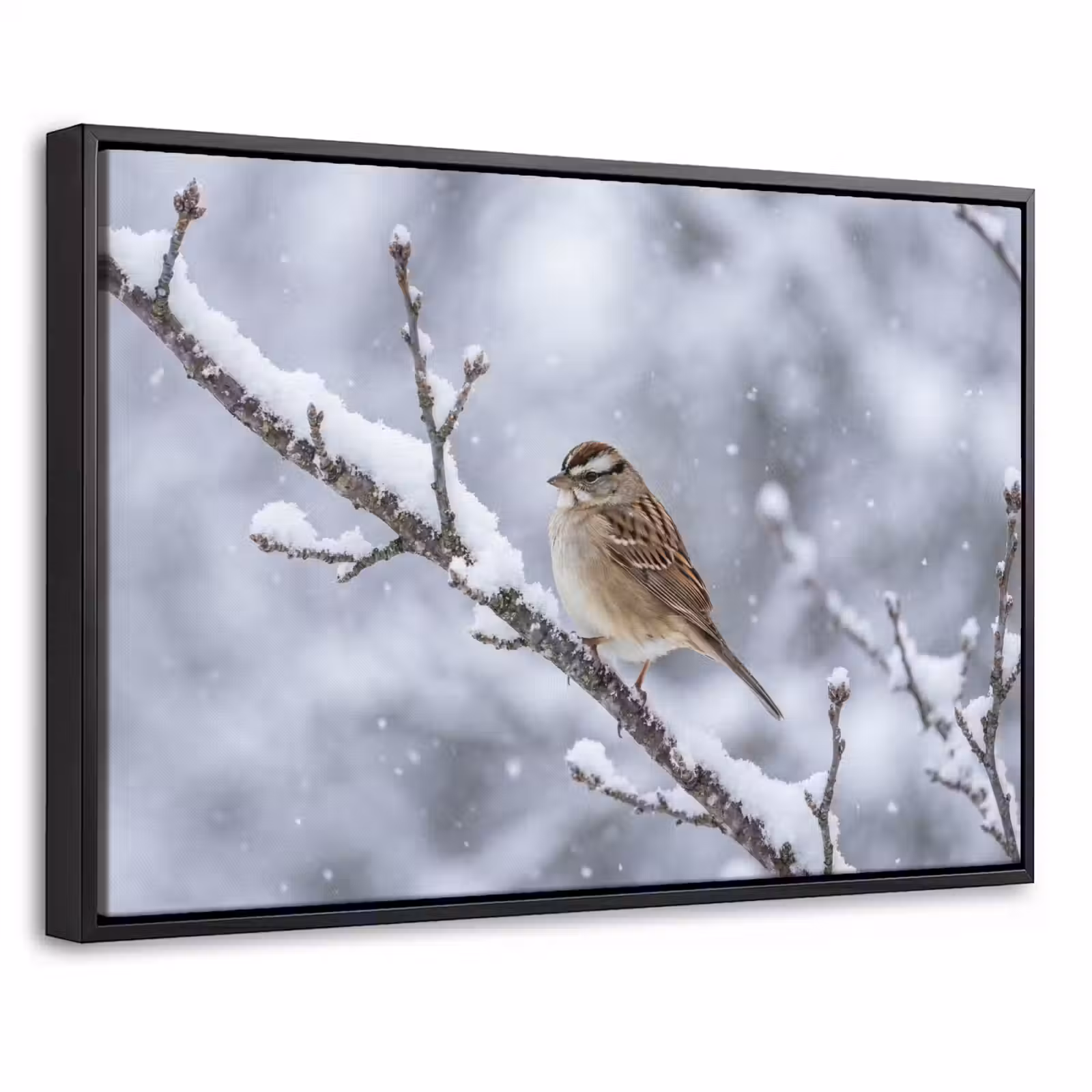 Canvas met lijst - Vogel - Tak - Sneeuw - Winter — 1