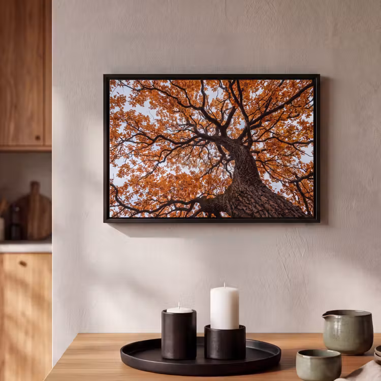 Canvas met lijst - Boom - Bladerdak - Herfst - Oranje - Sfeervol — 2