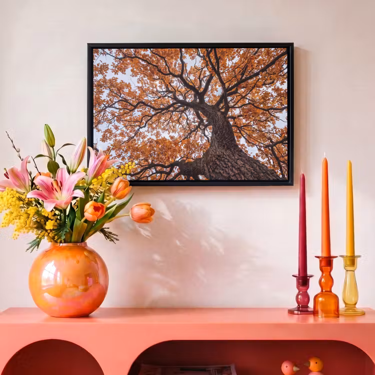 Canvas met lijst - Boom - Bladerdak - Herfst - Oranje - Sfeervol — 4