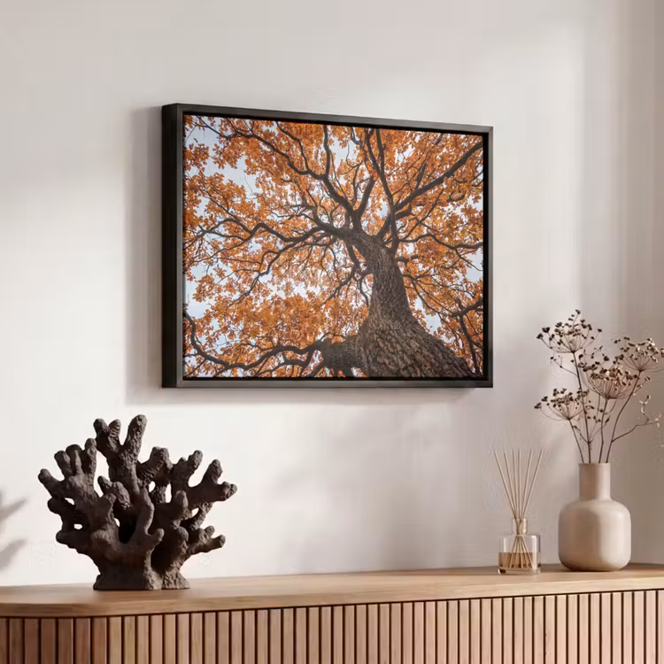Canvas met lijst - Boom - Bladerdak - Herfst - Oranje - Sfeervol — 6