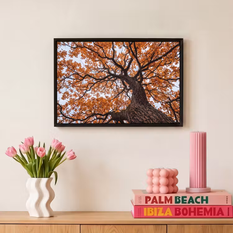 Canvas met lijst - Boom - Bladerdak - Herfst - Oranje - Sfeervol — 8