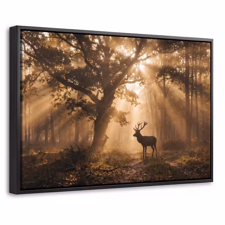 Canvas met lijst - Hert - Bos - Mistig - Natuur - Goud — 1