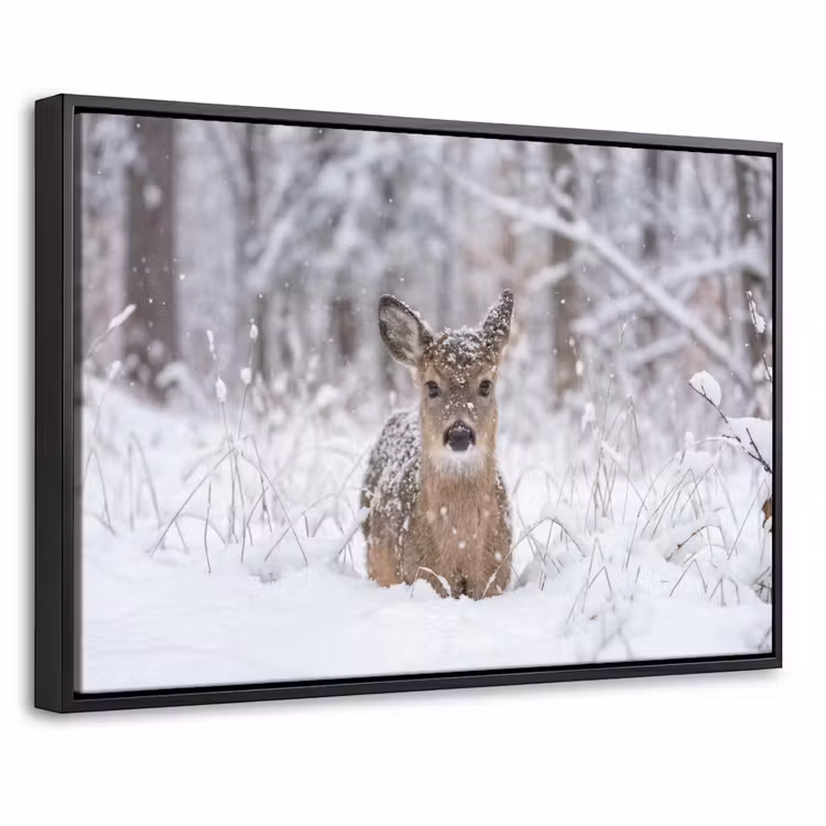 Canvas met lijst - Hert - Sneeuw - Bos - Dieren - Vertederend — 1