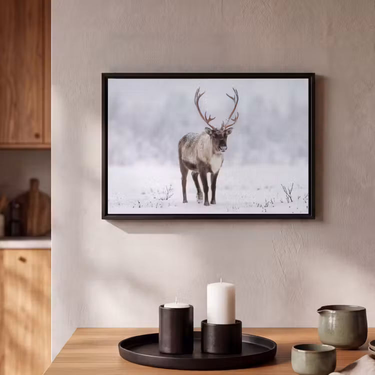 Canvas met lijst - Rendier - Gewei - Toendra - Sneeuw - Wild — 2
