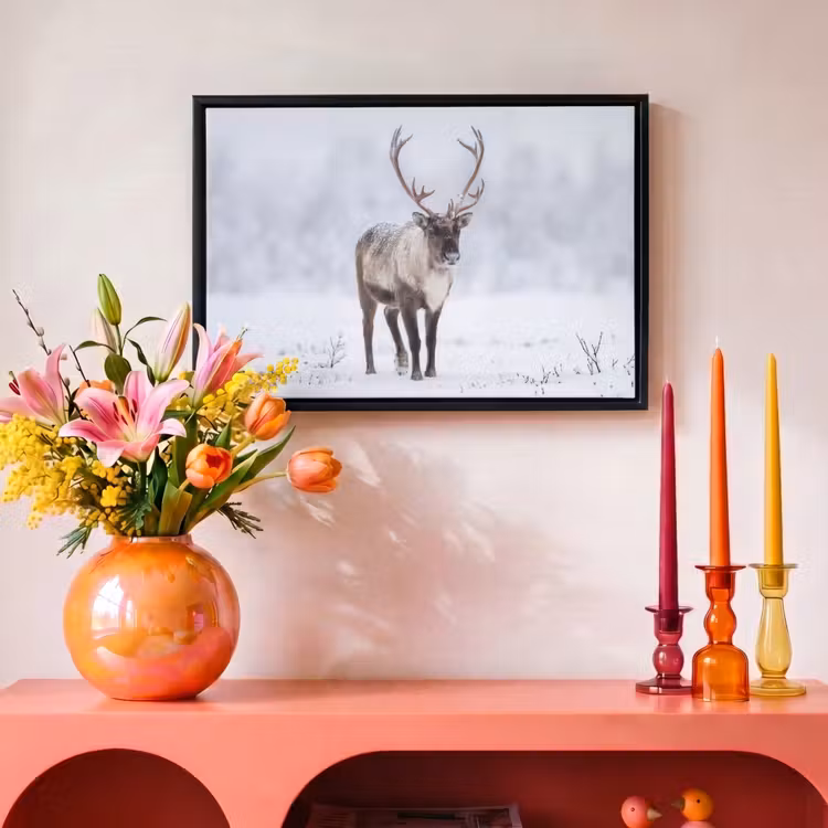 Canvas met lijst - Rendier - Gewei - Toendra - Sneeuw - Wild — 4