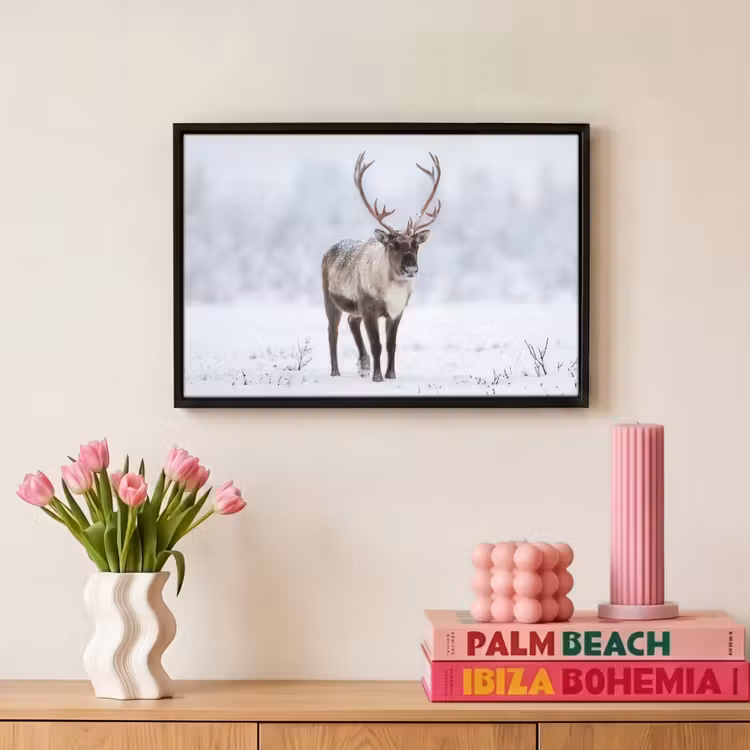 Canvas met lijst - Rendier - Gewei - Toendra - Sneeuw - Wild — 8